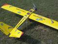Picture 25