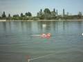 Picture 24